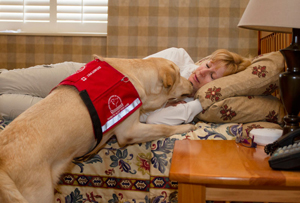 DAD-37_diabetes_dog_300px