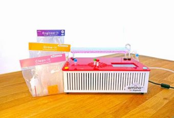 amino insulin micro bio-production